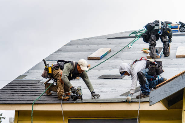 Professional Storm Damage Roof Repair technician working in Lake City, IA